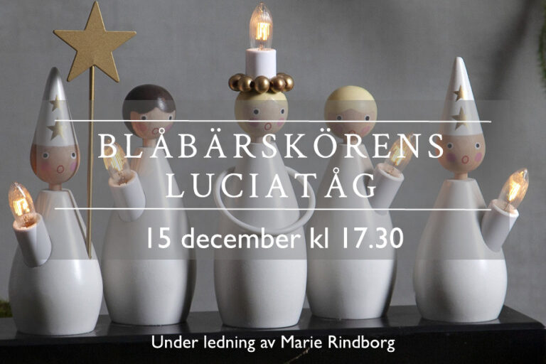 Norrmalmskyrkan, Stockholm Blåbärskörens Luciatåg